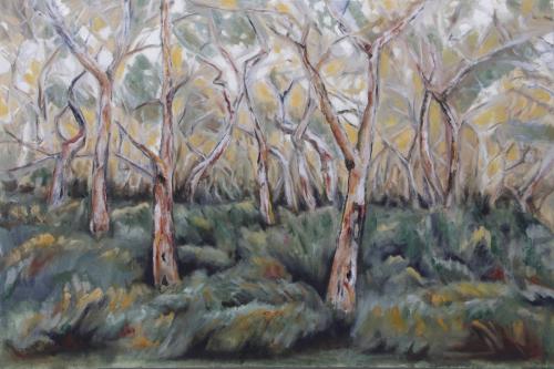 'Otway Forest (with Nymph)' - oil & acrylic, 61 x 91.5cm